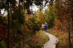 A family hiking on a boardwalk surrounded by fall trees