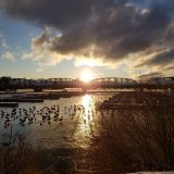 The sun setting over a steel bridge.