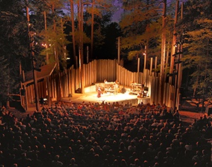 An audience watching a live performance in the woods at night.