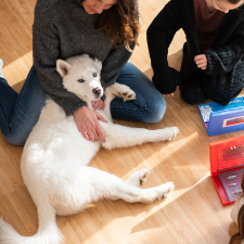 A person holding a dog