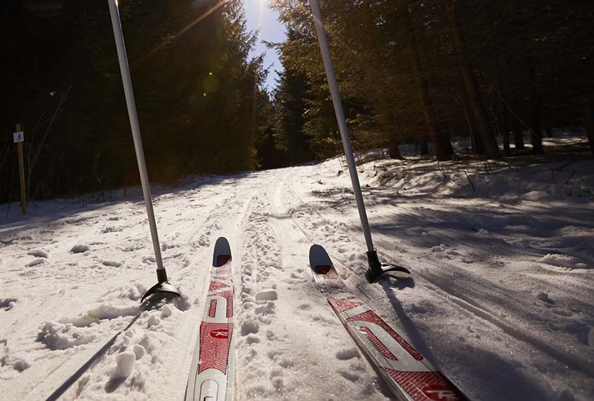 Cross country skis and poles in the show