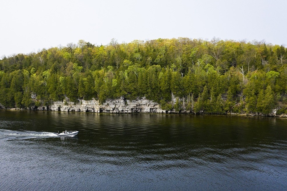 An escarpment lined with trees from the lake.