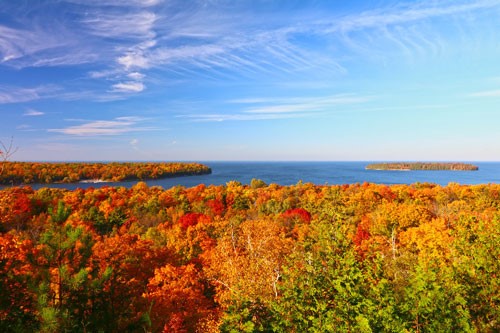 Trees in their autumn colors with the water in the distance from the air.