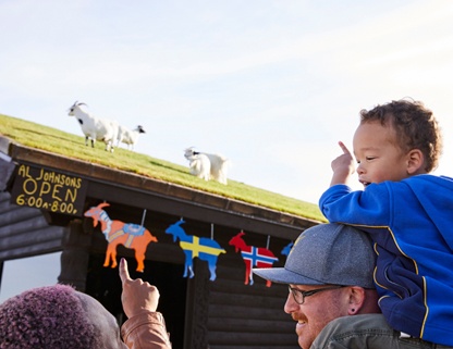 A family looking at goats on a grass roof