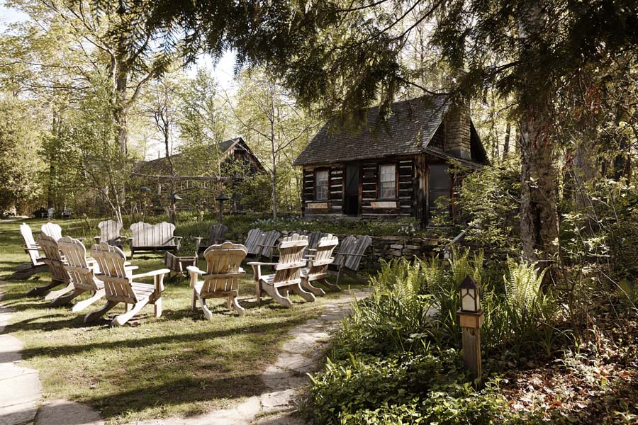 Log cabins in the woods at The Clearing.